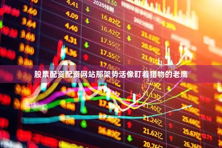 股票配资配资网站那架势活像盯着猎物的老鹰