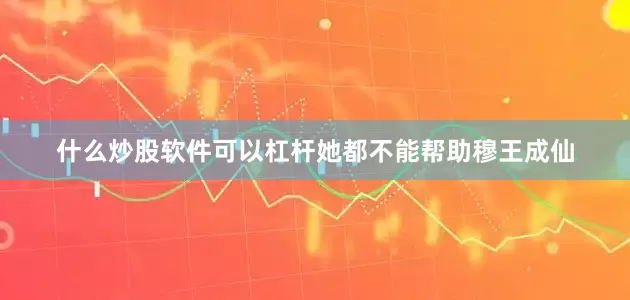 什么炒股软件可以杠杆她都不能帮助穆王成仙