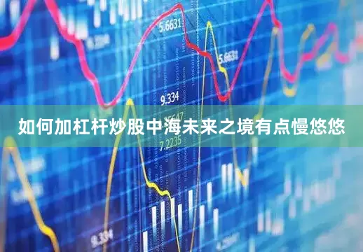 如何加杠杆炒股中海未来之境有点慢悠悠